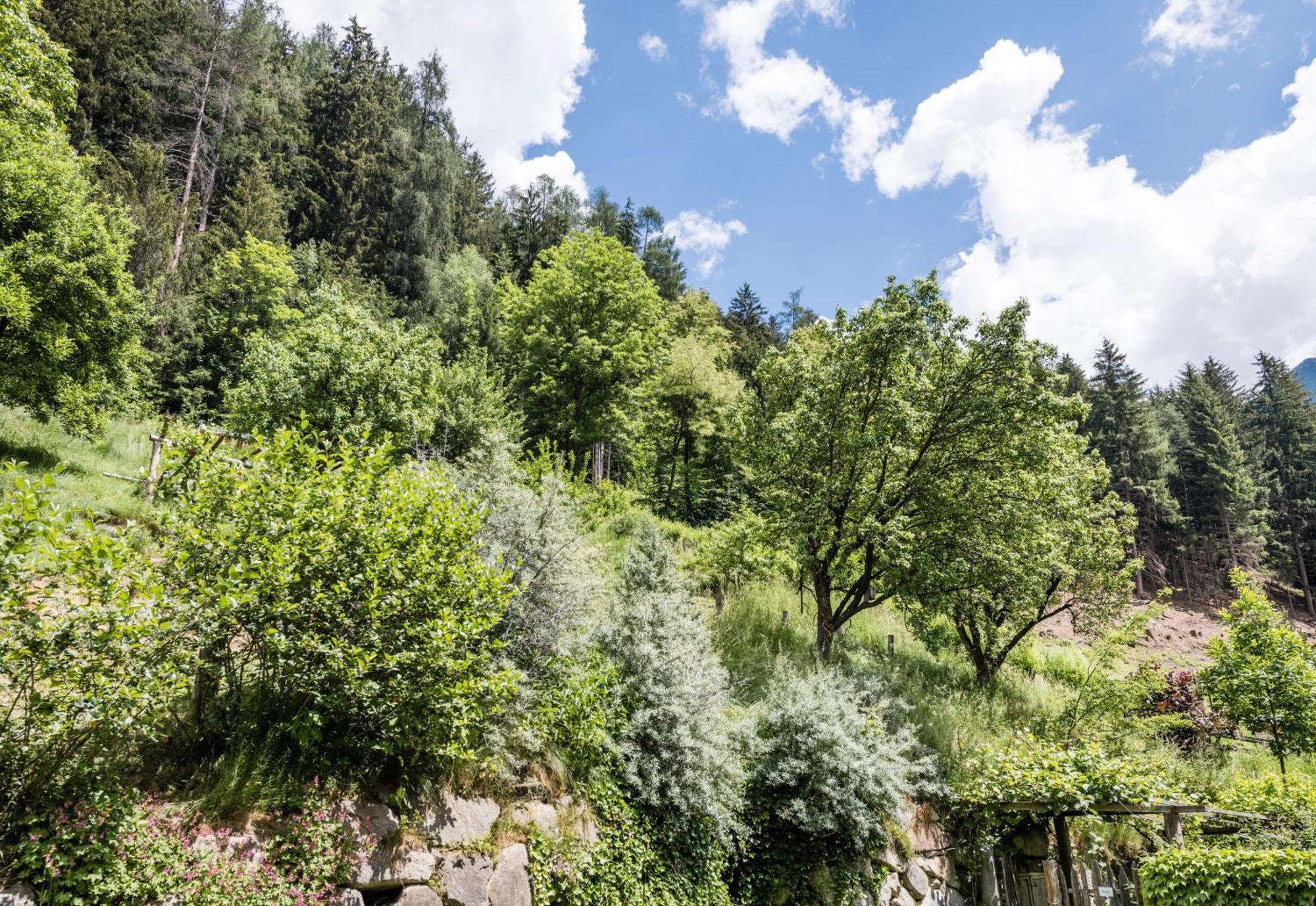 Naturresidenz Mair Zu Hof Sand in Taufers Exteriör bild